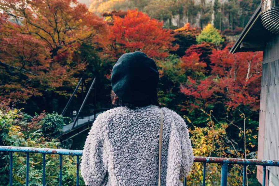 大分県で見つける 紅葉 紅葉ベスト5