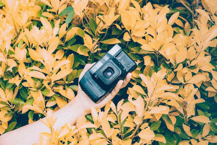 ジャンクフィルムカメラはSNSの夢を見るか。記憶はアナログの海の中 ジャンクフィルムカメラはSNSの夢を見るか。記憶はアナログの海の中