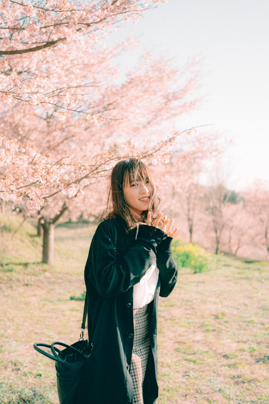 sigma45mmで撮るさくらとポートレート