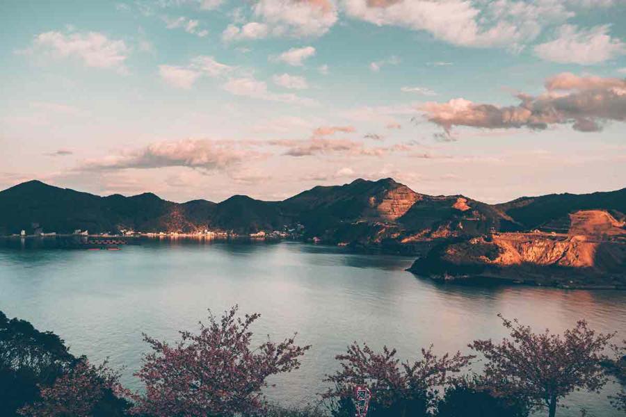 桜と遠景