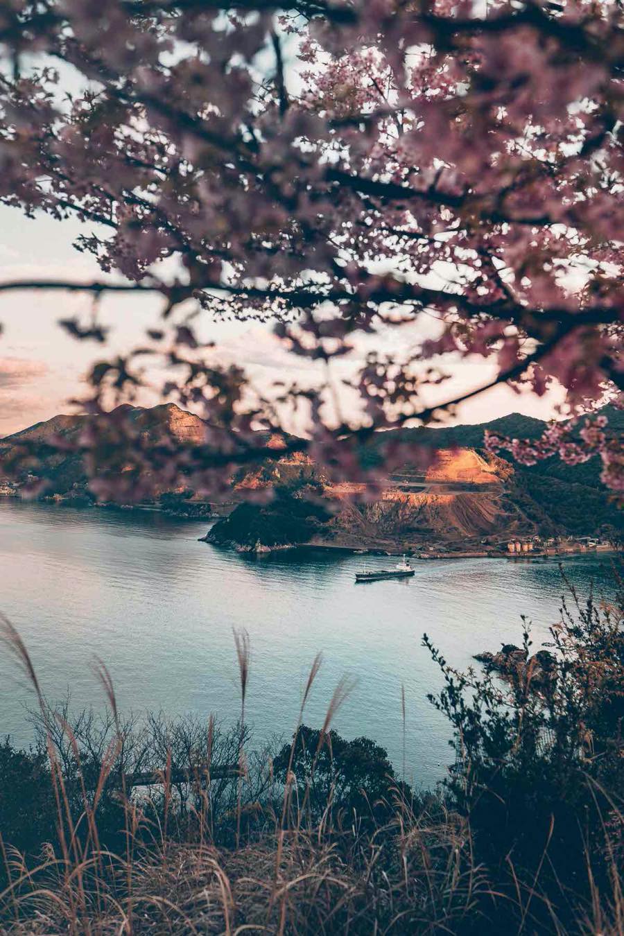船と桜と海