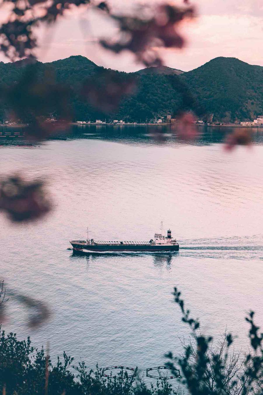 桜と海と船