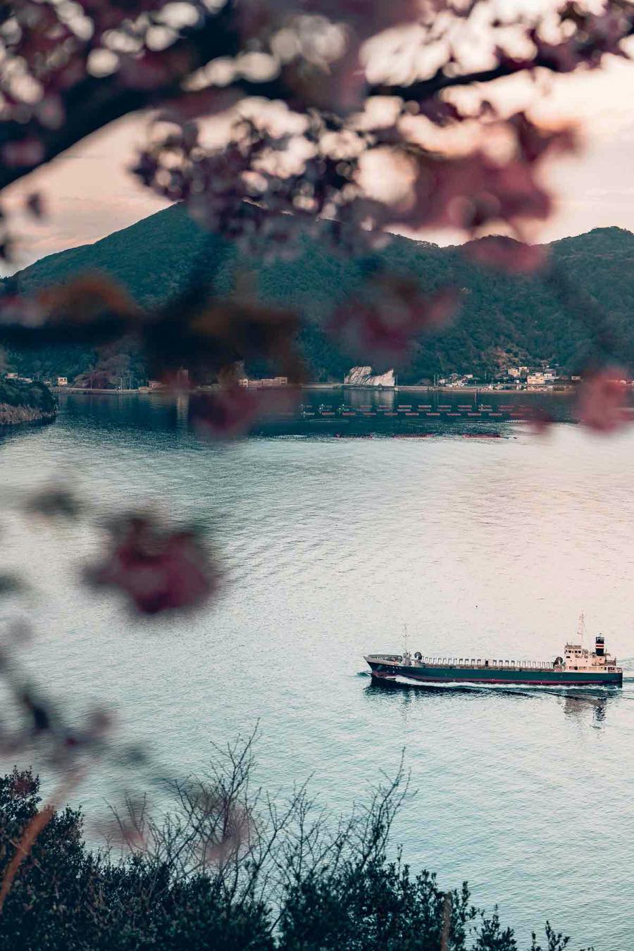 船と海と桜
