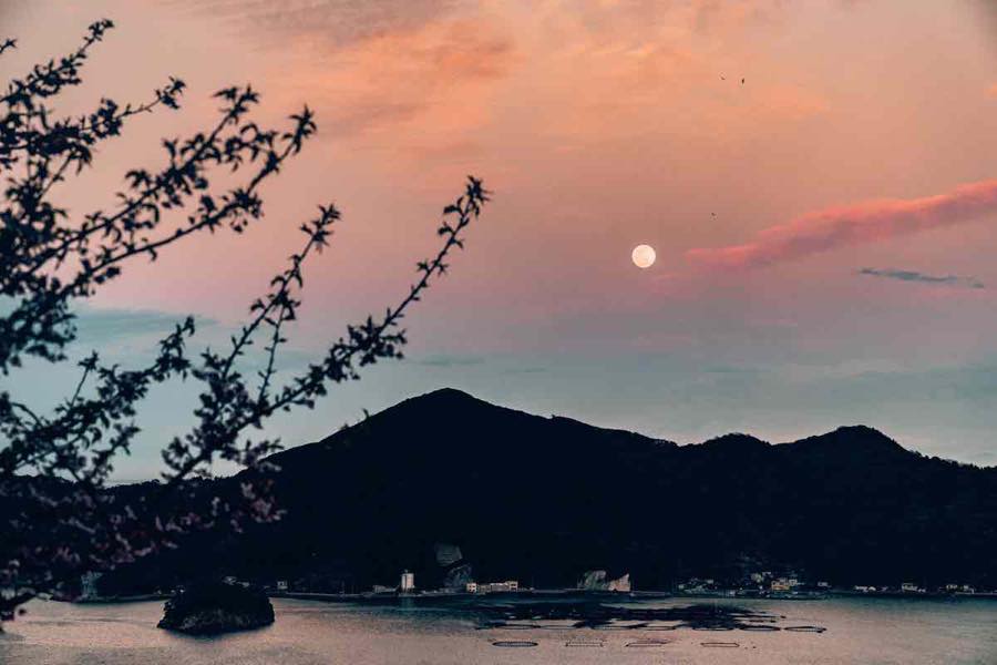 花鳥風月